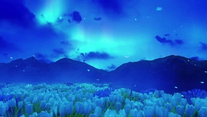 唯美花海夜色
