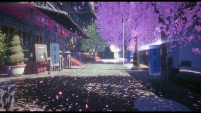 樱花街道