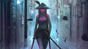 雨夜女武士