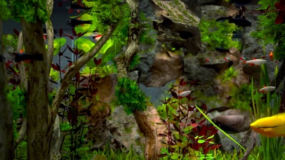 假山景观水族馆