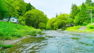 夏日护眼绿林河流