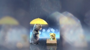斑布猫-下雨天