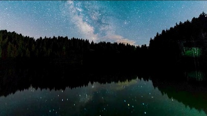 4K森林星空【延时摄影】