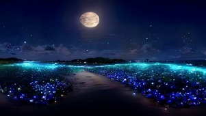 漫步萤火花田