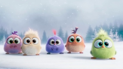 可爱的小鸟 舔屏