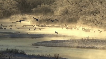落霞与孤鹜齐飞