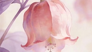 护眼花朵带鱼屏