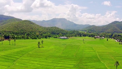 4K 高清 空中射击的稻田和山