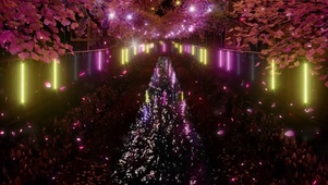 夜晚飘落的花