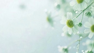 护眼花朵树木带鱼屏