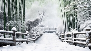 唯美雪景