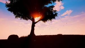 夕阳树