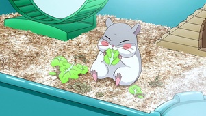 动漫超清可爱小仓鼠吃叶子