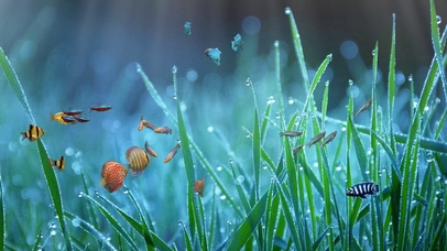 4k护眼薄荷绿水族箱