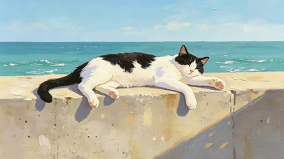 海边晒太阳的猫咪