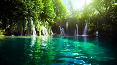 夏日绿林瀑布水潭