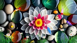 莲花鱼池