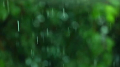 护眼绿色