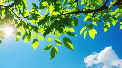 晴空万里