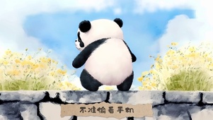 可爱的熊猫