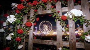 玫瑰花木栏外摩天轮