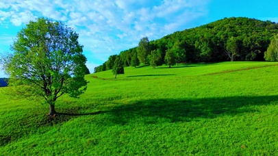 4K绿色护眼万水千山