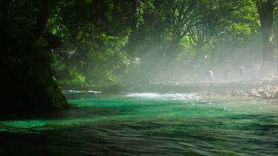 护眼清新绿林雾水