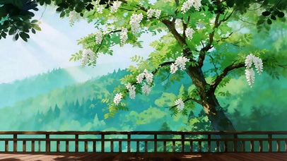 槐花映青山