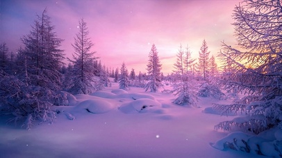唯美雪景