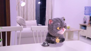 斑布猫-魔法小鱼干