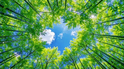 仰视角清新竹林蓝天美景
