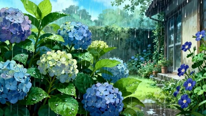 雨天院子花朵