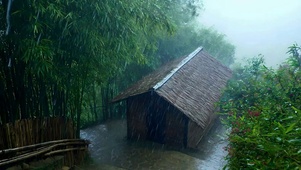 暴雨