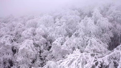 4K冬天山顶雾凇风景