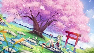 4K樱花神社