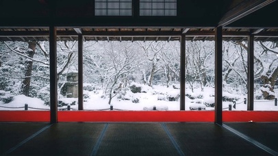 雪社一片飞来寒