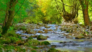 绿林山间河流