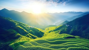 梯田
