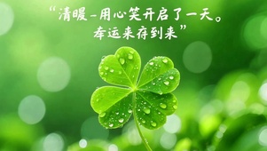 幸运草4K