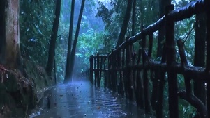 傍晚山间雨