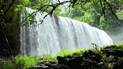 唯美壮观森林瀑布4K