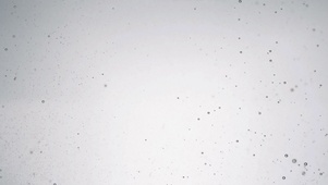纯白气泡