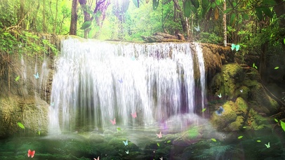 丛林瀑布流水落叶蝴蝶