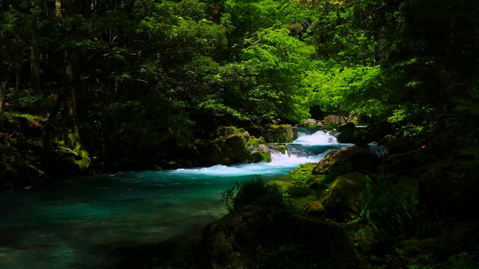 永川山水林涧图片