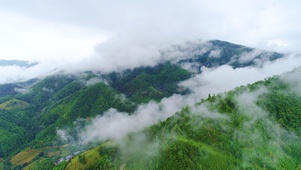 大山云海