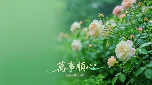 雨后花园，留白