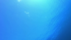 水底