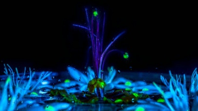 蓝色花丛雨滴玻璃