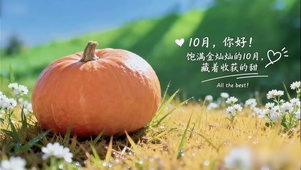 饱满金灿灿的收获10月