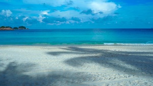 夏日海滩
